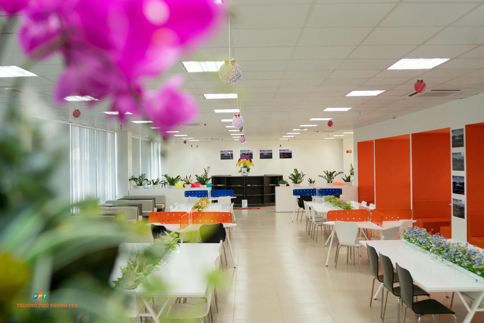 Hệ thống Phổ thông FPT Schools