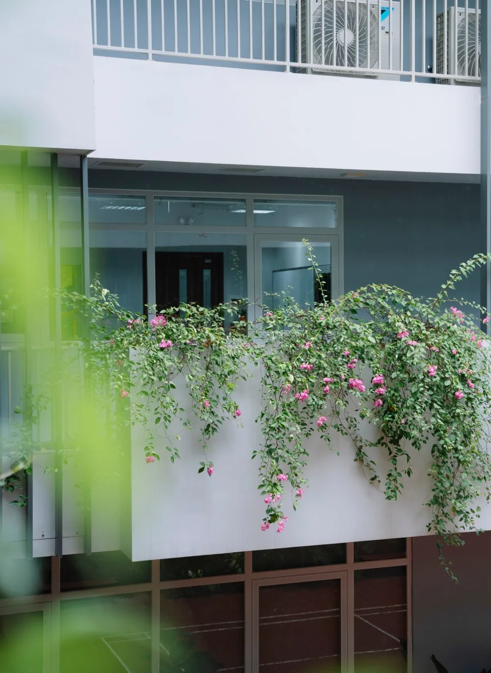 Trường Tiểu học, THCS và THPT FPT Bắc Giang | FPT Schools