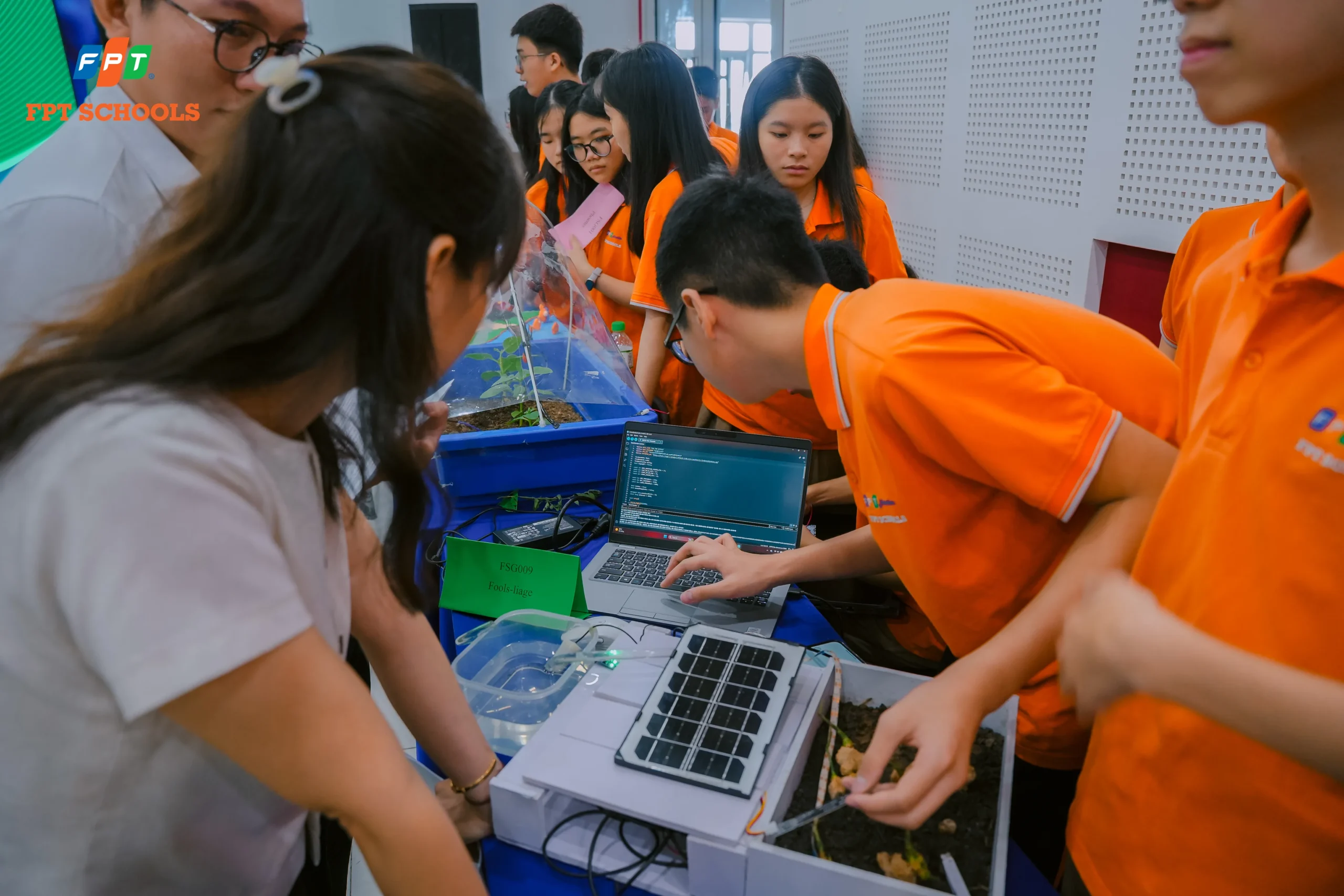 Học sinh trình bày phần lập trình để khu vườn thông minh có thể vận hành tự động