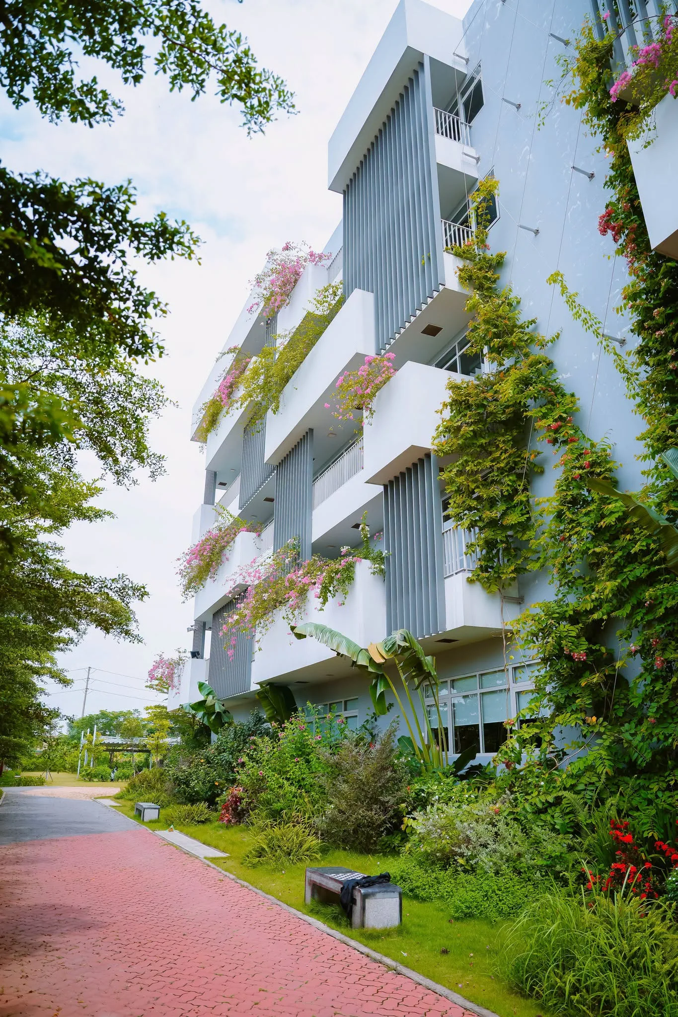 Trường Tiểu học, THCS & THPT FPT Hà Nam | FPT Schools