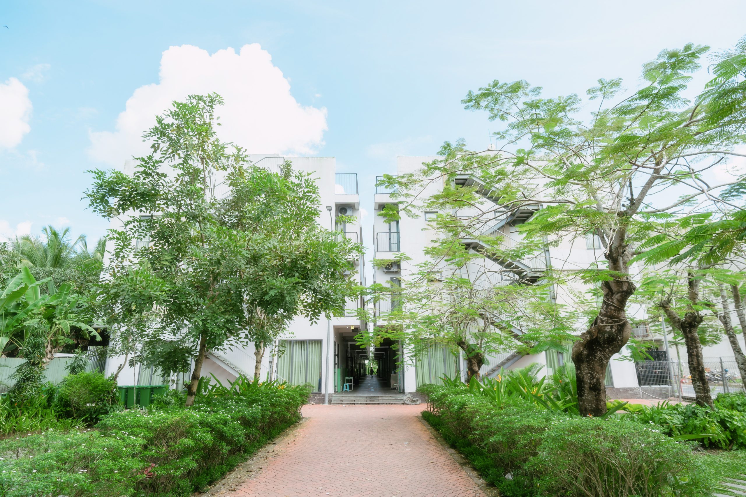 Cần Thơ | FPT Schools